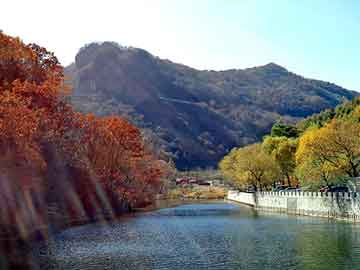 天天彩好彩天天免费，铜川软件开发公司